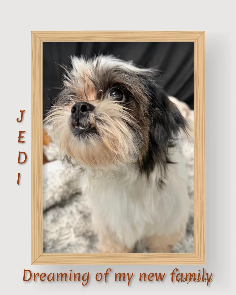 Jedi thumbnail 3