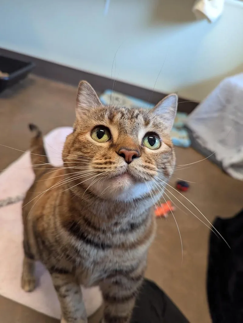 Fredericka thumbnail 2