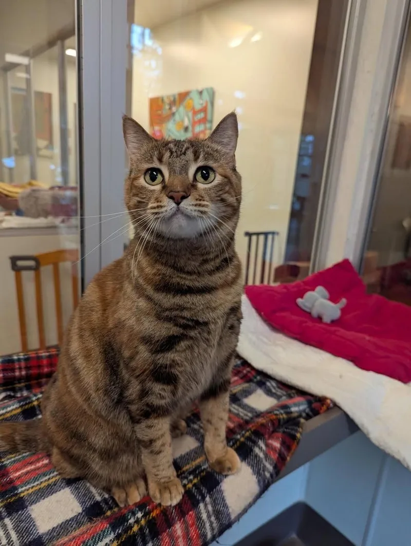 Fredericka thumbnail 3