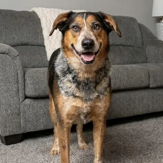 Max