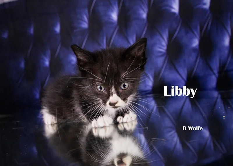 Libby