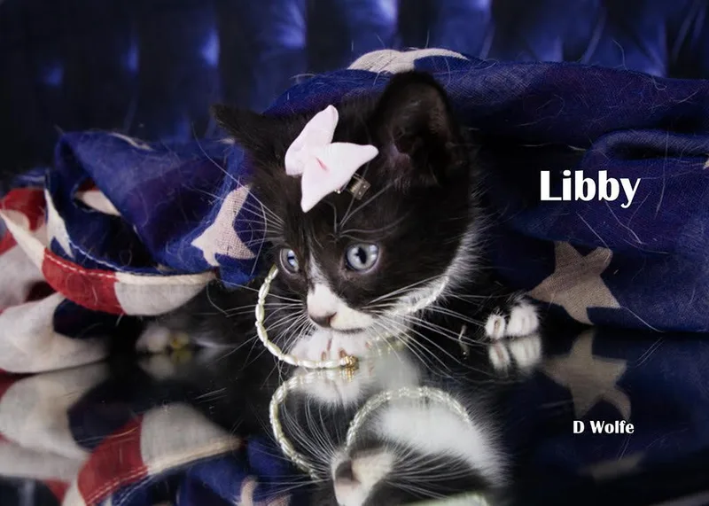 Libby thumbnail 2