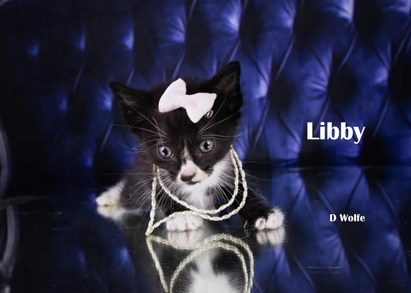Libby thumbnail 4