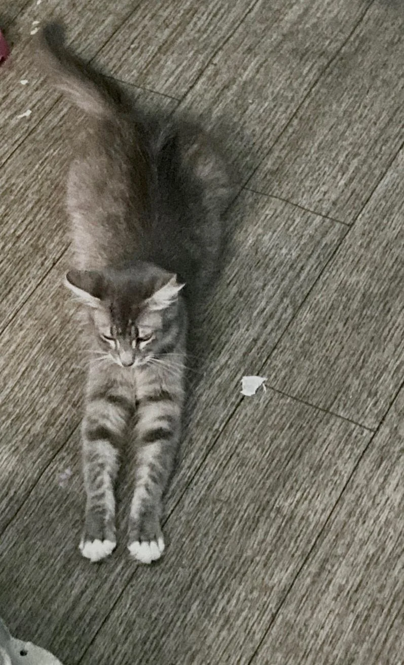 Fluffers thumbnail 3