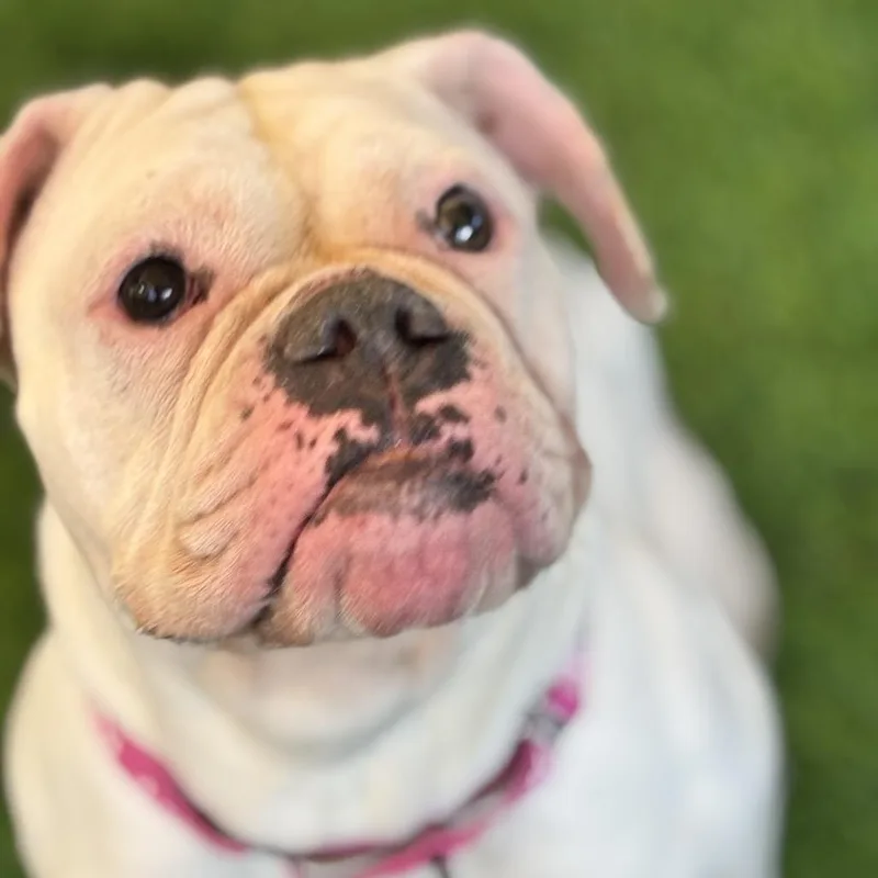 Molly thumbnail 5