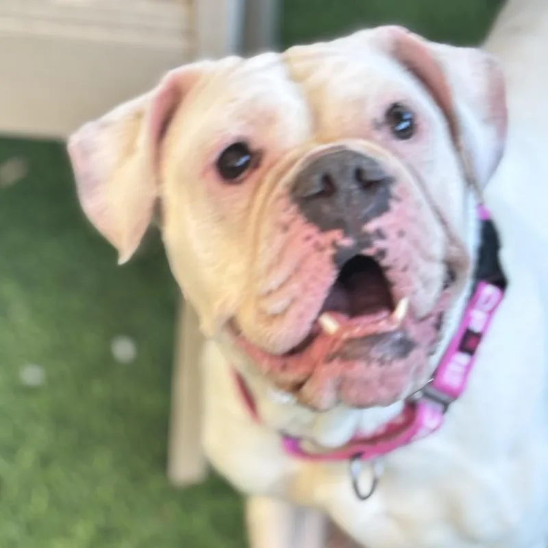Molly thumbnail 6