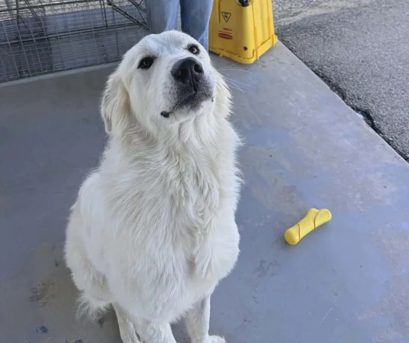 River Sat thumbnail 2