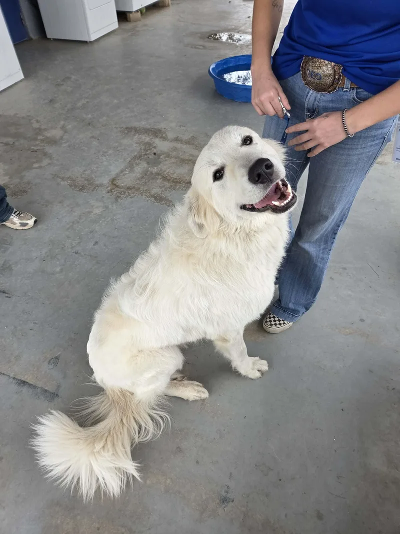 River Sat thumbnail 3