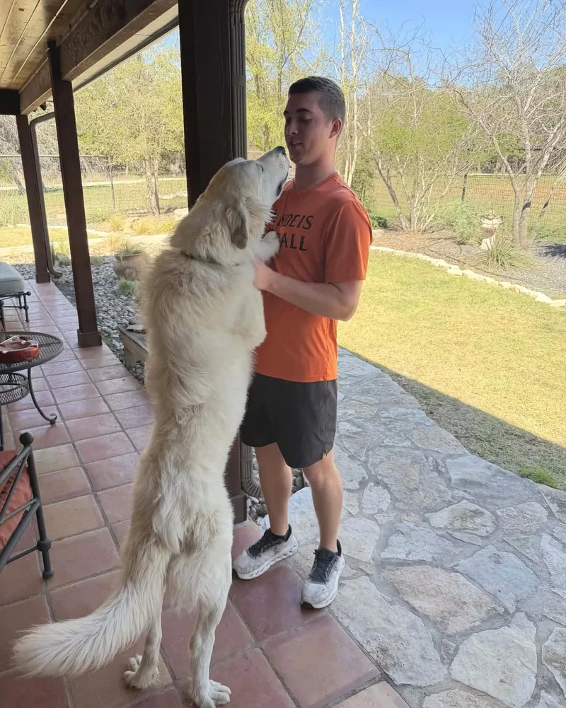 River Sat thumbnail 5