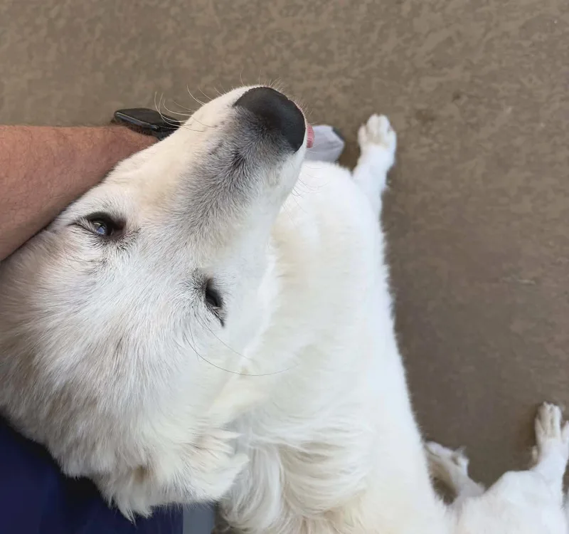 River Sat thumbnail 6