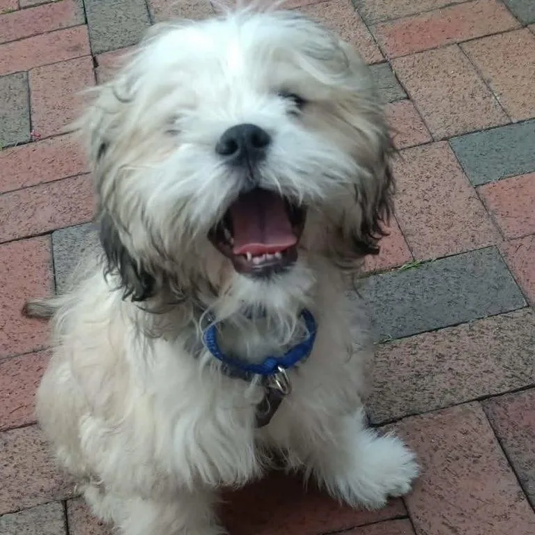 Murphy thumbnail 2