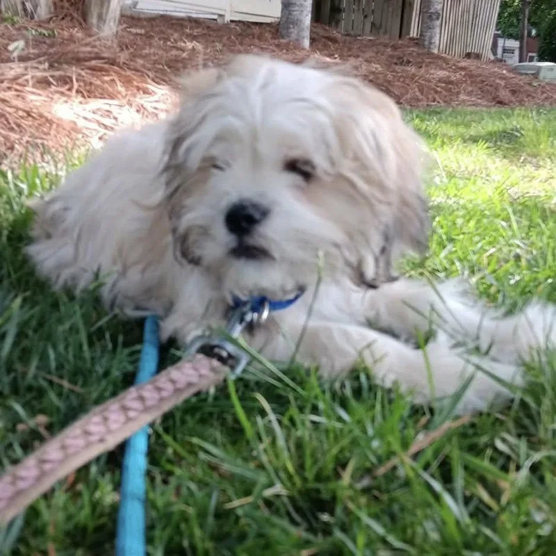 Murphy thumbnail 3
