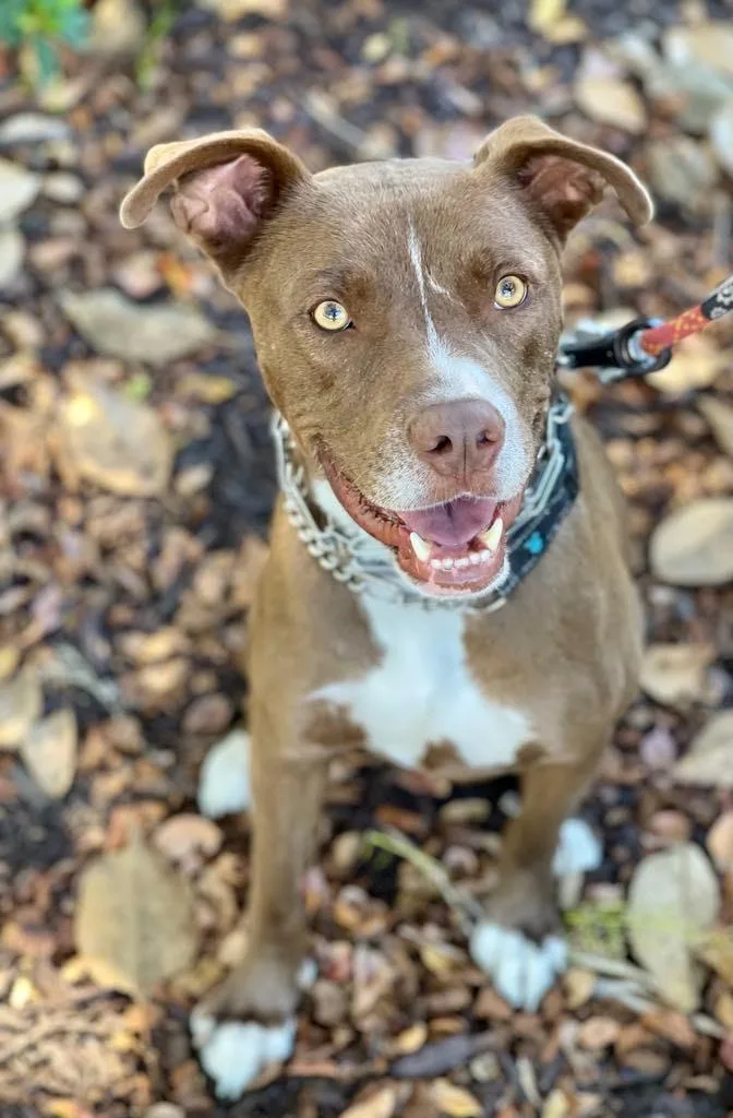 Peter Aka Max thumbnail 2