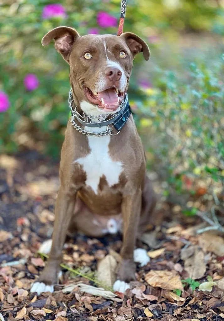 Peter Aka Max thumbnail 3