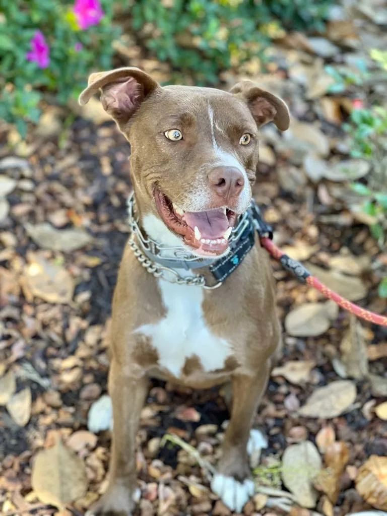 Peter Aka Max thumbnail 4