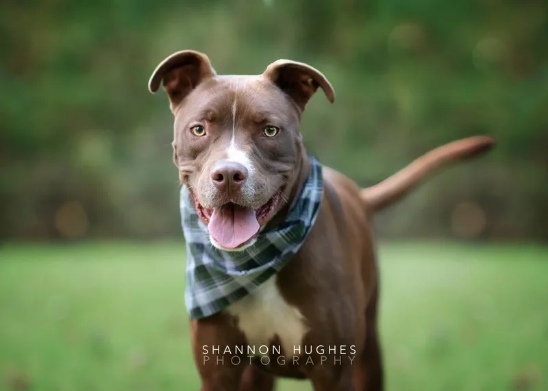 Peter Aka Max thumbnail 5