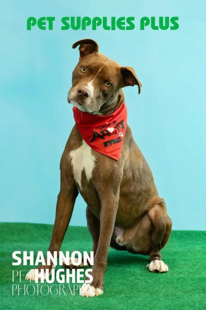 Peter Aka Max thumbnail 6