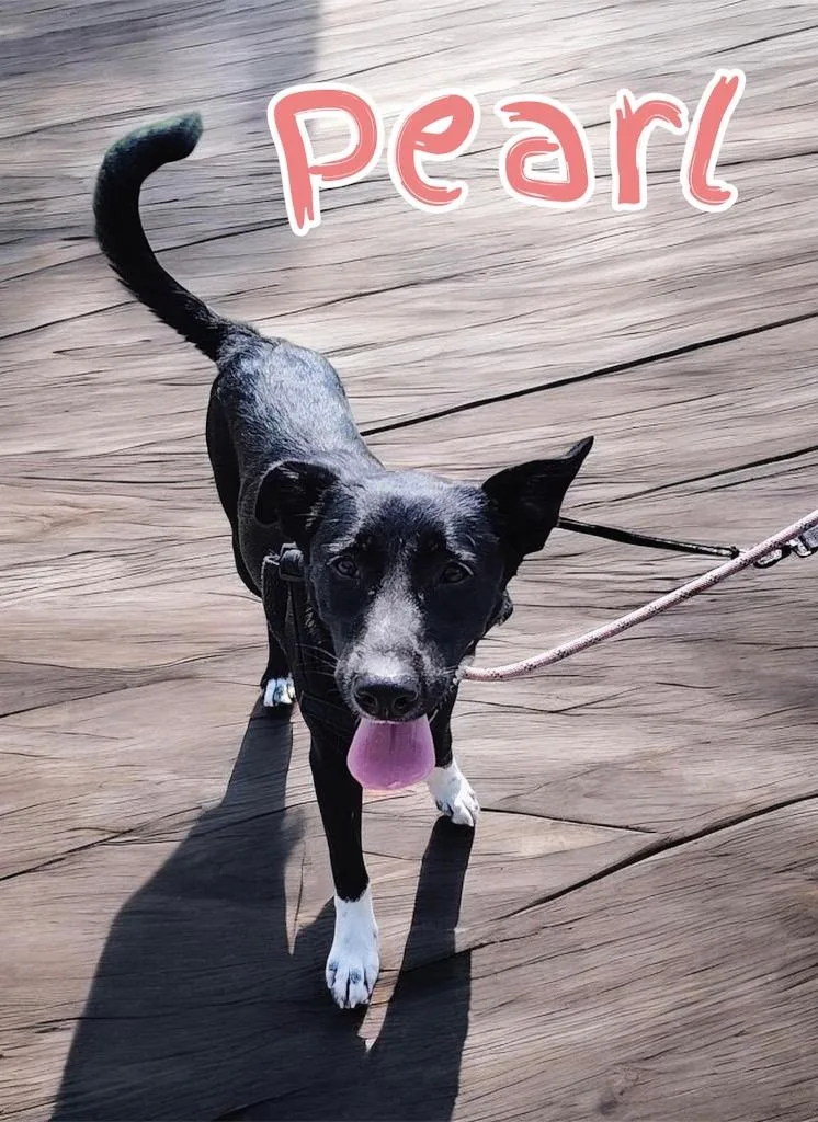Pearl