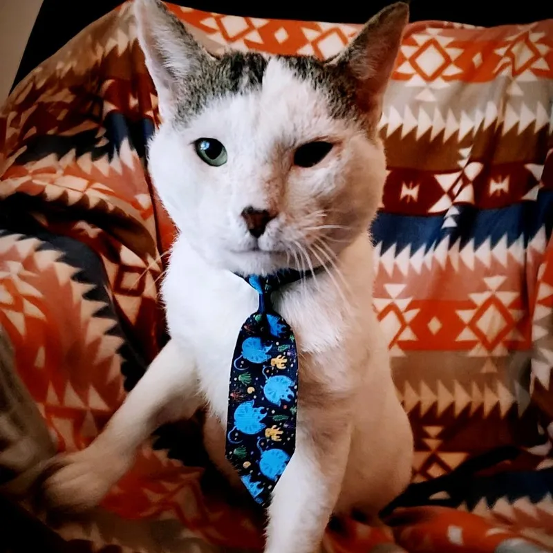 Captain Hook thumbnail 2