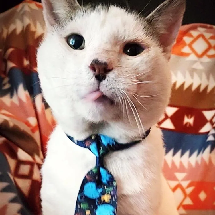 Captain Hook thumbnail 3