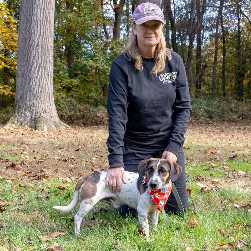 SpudAvail thumbnail 5