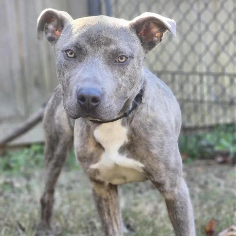 Ken And Vamos thumbnail 5