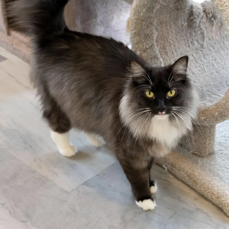 Bonnie Mae thumbnail 2