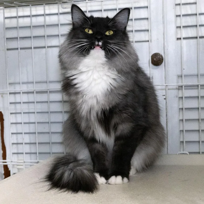 Bonnie Mae thumbnail 6