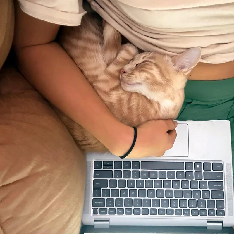 Oatmeal and Coco thumbnail 5