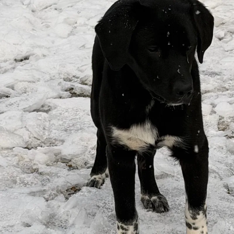 Gunther