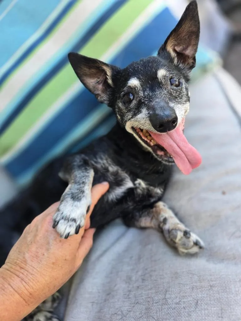 Bridgett thumbnail 2