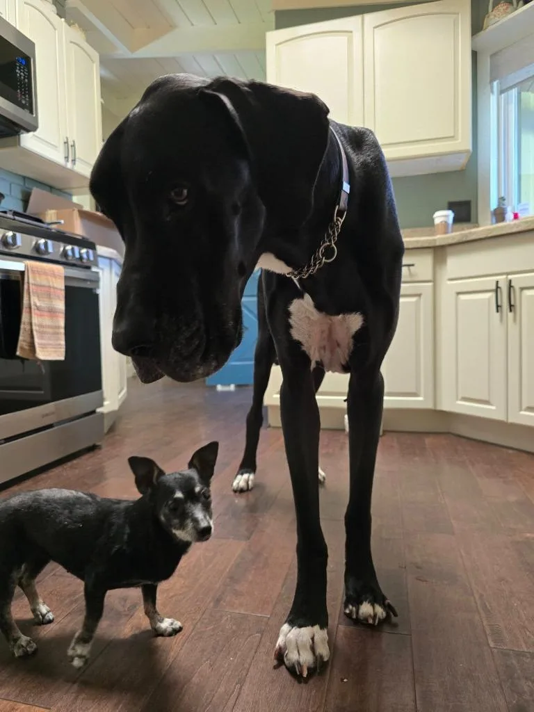 Bridgett thumbnail 3