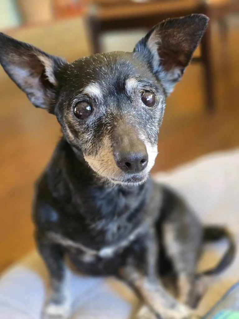 Bridgett thumbnail 4