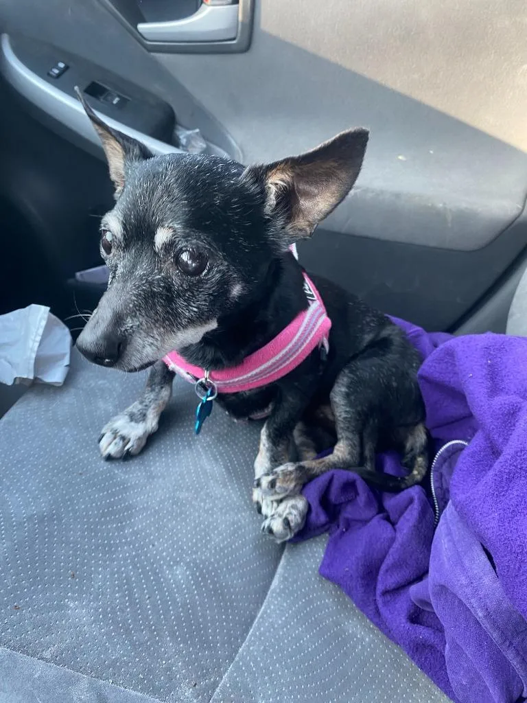 Bridgett thumbnail 5