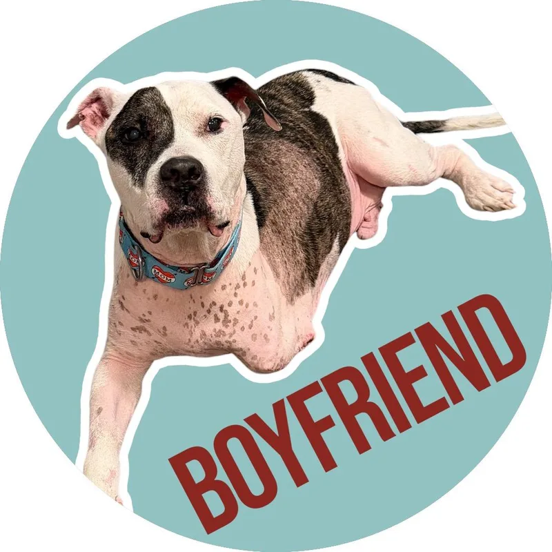 Boyfriend thumbnail 4