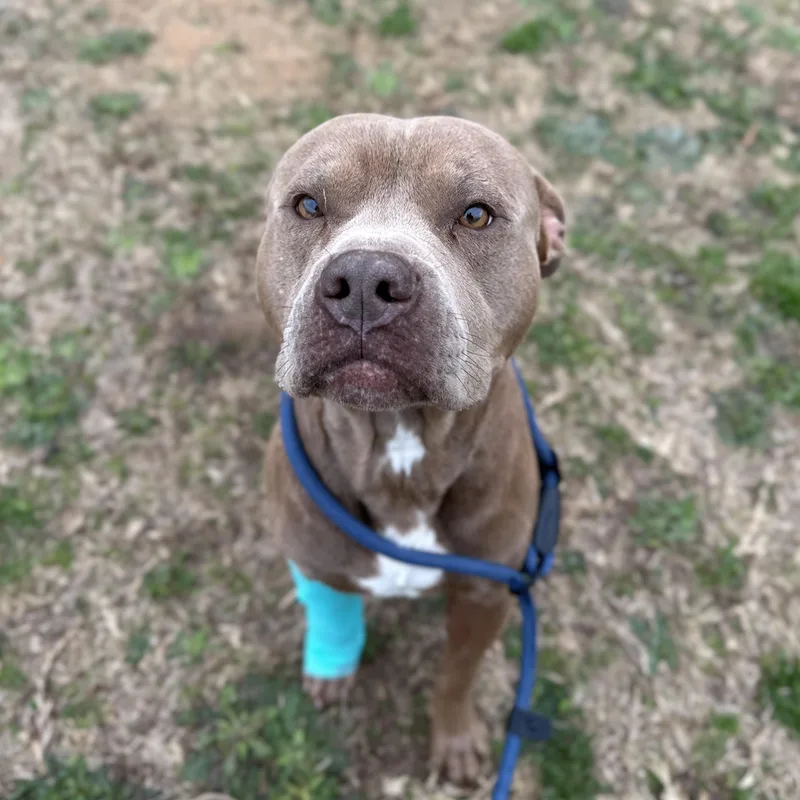 St. Luke thumbnail 5