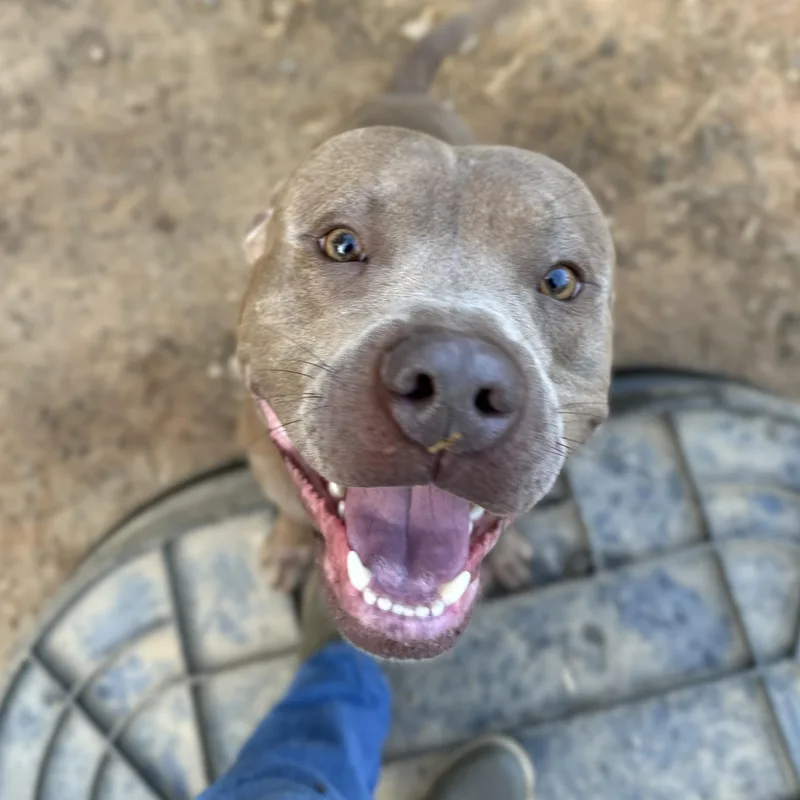 St. Luke thumbnail 6