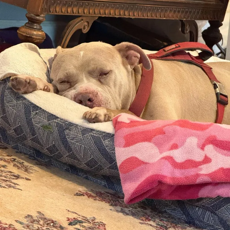 Snuffy Kf thumbnail 2