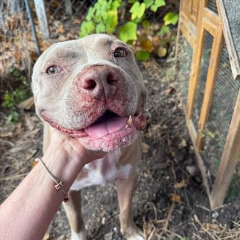 Snuffy Kf thumbnail 4