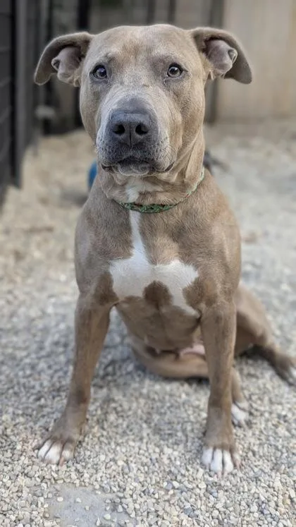 Jane