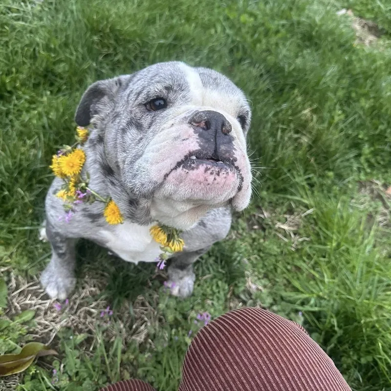 Mercedes thumbnail 2