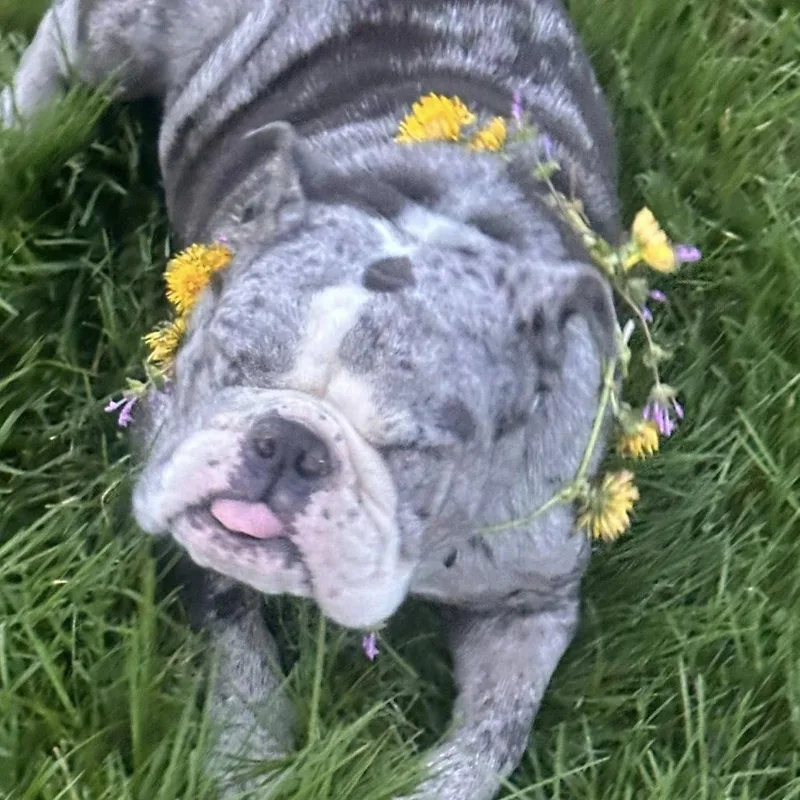 Mercedes thumbnail 3