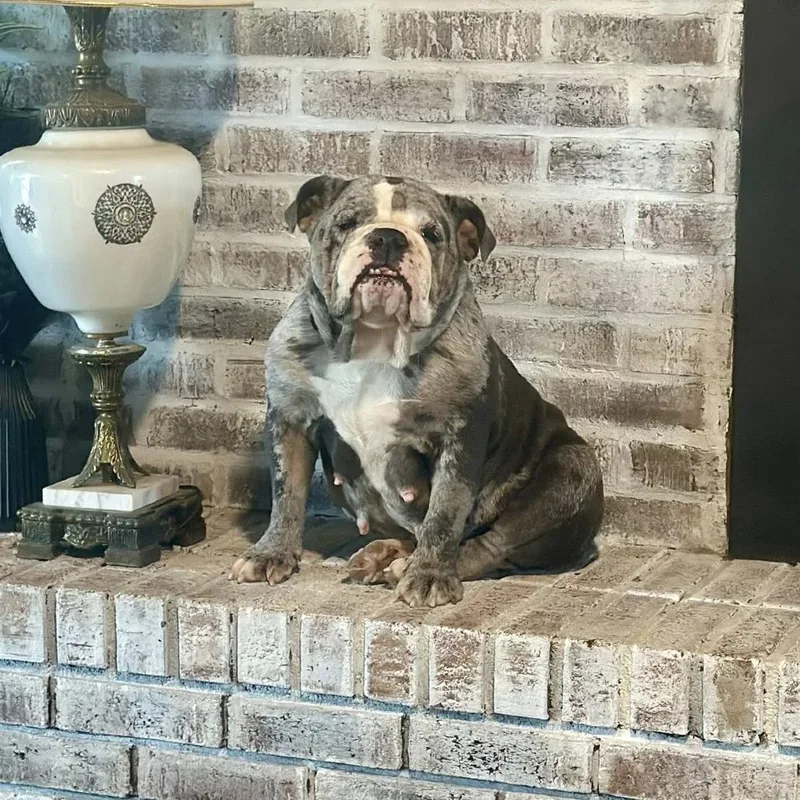 Mercedes thumbnail 4