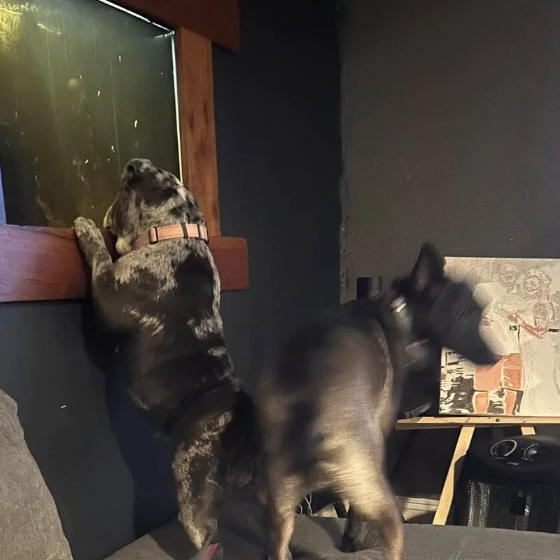 Mercedes thumbnail 5