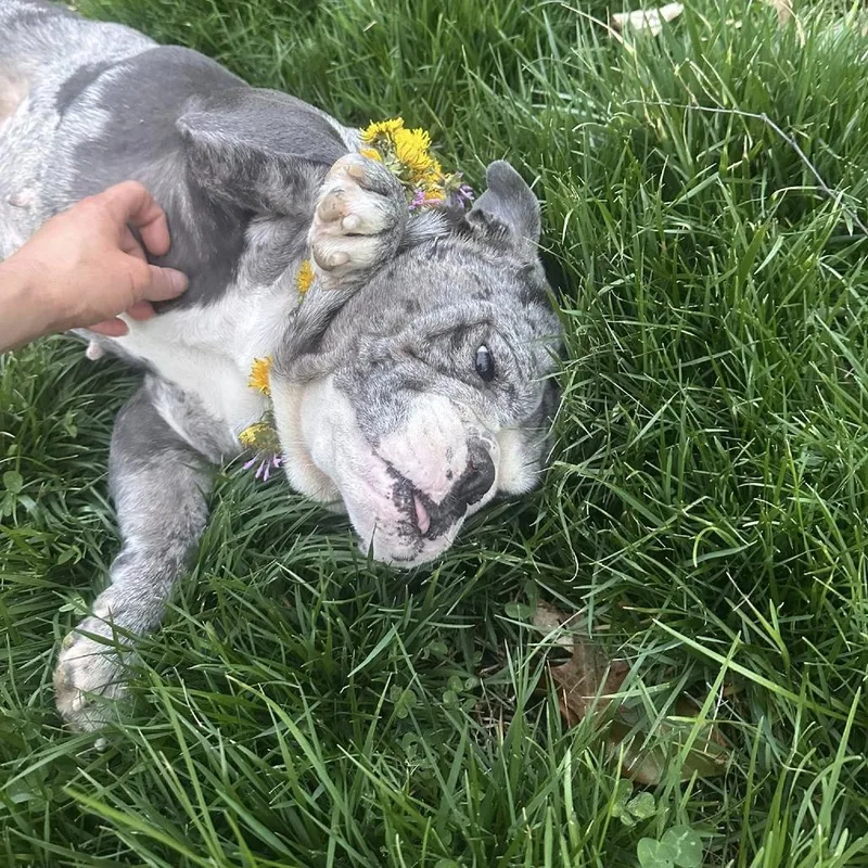 Mercedes thumbnail 6