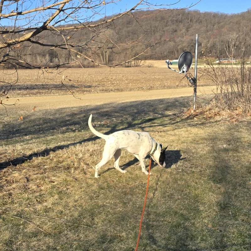 Charlotte thumbnail 2