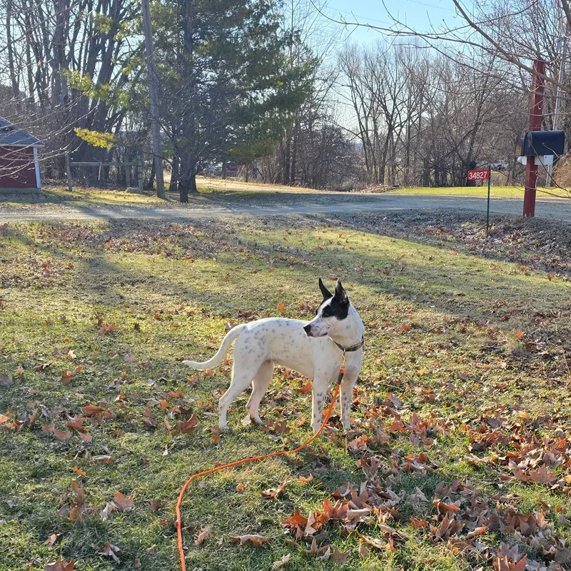 Charlotte thumbnail 3