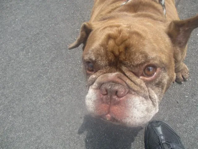 Buster