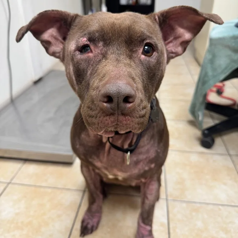 Mama's Girl thumbnail 2