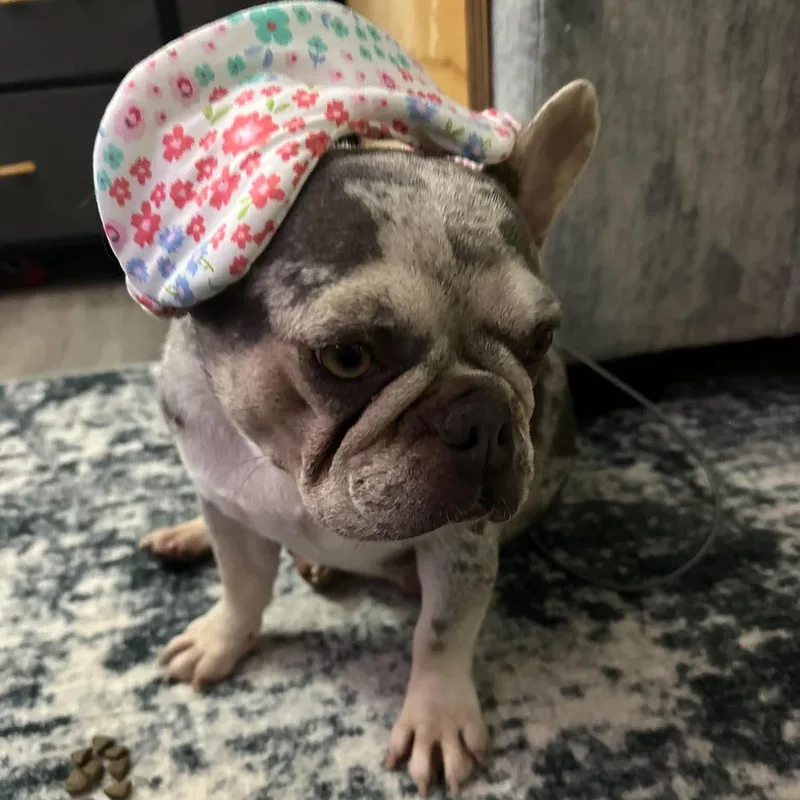 Betty White thumbnail 3